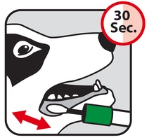 Paw Print Genetics - Cheek Swab Collection Guidelines